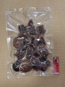 乾燥しいたけ 原木椎茸 訳あり 自家製 無農薬 約70g ⑤