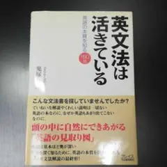 英文法は活きている : 英語の本質を知る160話