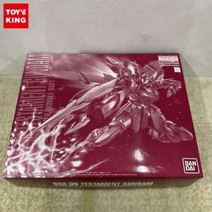 1円〜 MG 1/100 機動戦士ガンダムSEED DESTINY ASTRAY テスタメントガンダム