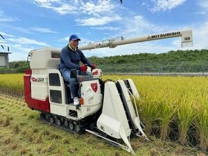 新米　玄米　兵庫播州　れんげ米　10Kg　きぬむすめ　極1等米　色選別済　冷蔵保管　ジャスト10Kg　農家直送　送料無料