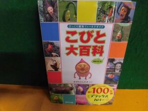 こびと大百科 増補改訂版 こびとづかん　なばたとしたか　単行本