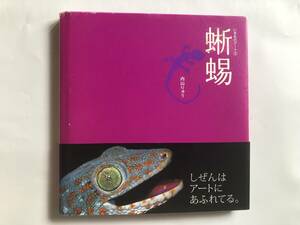 いきものアート②　蜥蜴 (とかげ)　内山りゅう　ジュリアン2006年発行　定価1260円