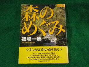 ■森のめぐみ　Table book　姉崎一馬　リブロポート■FASD2023101007■