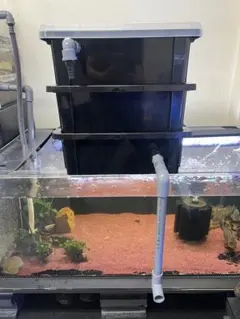 自作 濾過装置 3段ボックス 黒 濾過層 濾過器 金魚 メダカ 1,500L