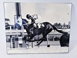 当時物 競馬パネル ハギノカムイオー 1982年3月14日 於 中山競馬場 フォトパネル 木製 52cm × 42cm カムイオーV2！ 桜草特別 黄金の馬