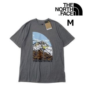 売切り【正規新品】THE NORTH FACE◆S/S NOVELTY GRAPHIC TEE 半袖 Tシャツ US限定 グラフィック ハーフドームロゴ(M)グレー 180902-15