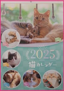 【送料無料：１冊：可愛い 子猫：大きい カレンダー：A2:60x42cm】★2025：可愛い 猫★仔猫 ネコ ねこ★6面★壁掛け:S