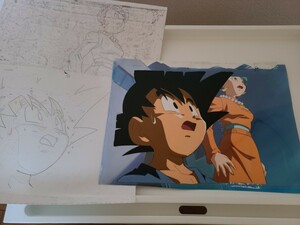 DRAGON BALL　横長大判　セル画　孫悟空　直筆背景　直筆動画付き　検　ドラゴンボール　鳥山明