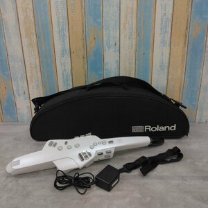 Roland(ローランド) エアロフォン(デジタル・電子楽器) AE-10 (説明書欠品) (ハードケース付き) ユーズド