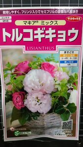 ３袋セット トルコギキョウ マキア トルコ キキョウ 桔梗 種 郵便は送料無料