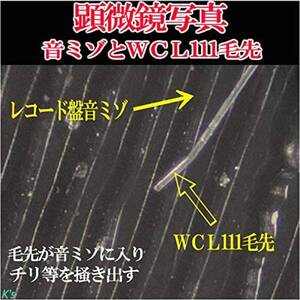 レコード盤のウェットクリーニング 専用ブラシ ケースが付属 特殊ベルベットを採用 NAGAOKA レコード盤用湿式クリーナー アルジャントWET