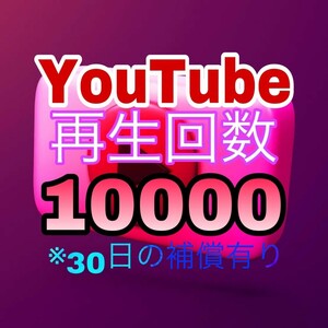 【おまけ 10000 YouTube 再生回数 増加】ユーチューブ Twitter Tiktok 自動ツール インスタ フォロワー いいね 再生数 チャンネル登録者