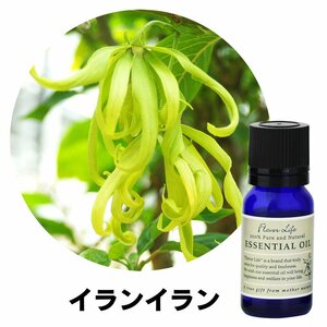 フレーバーライフ エッセンシャルオイル イランイラン 10ml 精油 アロマ アロマオイル リラックス 自律神経 ストレス 整える 効果