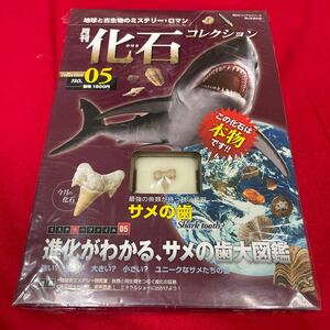 複　Y501. 4. 未開封 化石付き 月刊化石コレクション NO.05 地球と古生物のミステリー・ロマン　保管品　シュリンク付き　