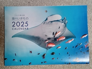 送料安い★すぐに/土日祝も発送します【海の魚 A3 1冊 壁掛けカレンダー 2025年 42x30㎝】イルカ クジラ クマノミ エイ さかな こよみ 暦 