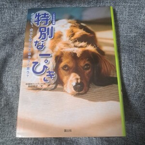 特別な一ぴき いのちの授業 どうして、犬って捨てられちゃうと思う?