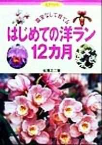 温室なしで育てるはじめての洋ラン１２カ月 花作りガイド１１／松沢正二(著者)