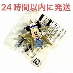 新品未使用☆東京ディズニーシー限定 ピンバッジ アブーズバザール ピンズ ミッキー 20周年 TDS