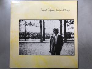 LP　David Sylvian Brilliant Trees　デヴィッド・シルヴィアン　LTD-V2290