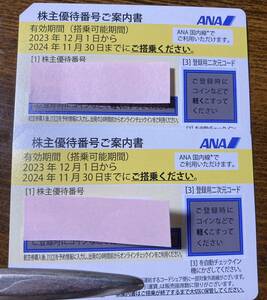 ＡＮＡ株主優待券　2枚セット　2024年11月30日まで　全日空