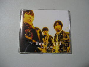 ☆ＣＤ☆NORTHERN BRIGHT （ノーザンブライト）　『WILDFLOWER』