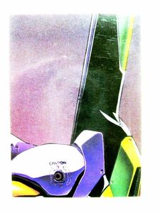 カードダスマスターズ 新世紀エヴァンゲリオン EVA COLLECTION PP12 SERIES 001 エヴァンゲリオン初号機 パッケージイラスト #3288-11