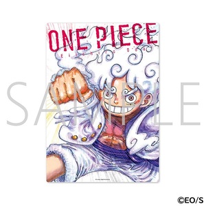 【会場限定】【新品未開封品】ジャンプフェスタ2025★ONEPIECE★ワンピース★下敷き