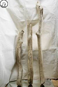 SEASIDEinterior☆流木の3本セット,Cool driftwood for decorating 89