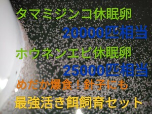 タマミジンコ20000匹相当　ホウネンエビ25000匹相当　休眠乾燥卵　最強活き餌飼育セット　取説付　めだかグッピー　送料無料　熱帯魚金魚餌