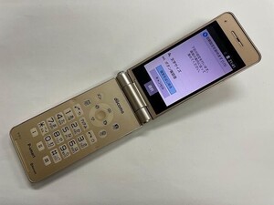 AI442 docomo P-01J