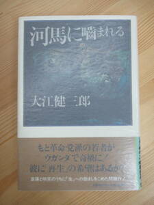 B79☆ 【 川端康成文学賞受賞作 】 河馬に噛まれる 大江健三郎 文藝春秋 1985 初版 帯付き 飼育 芥川賞受賞 雨の木 レイン・ツリー 230519