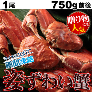 【1個出品】　カナダ産 ボイル 姿 ズワイガニ 1尾 (約750g前後) 鮮度抜群 瞬間凍結 さんきん1円