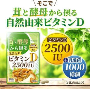 981【新品未使用/賞味期限2025.12.7】ビタミンD サプリメント 2500IU 自然由来 舞茸 エリンギ 酵母 乳酸菌 1000億個配合 60粒 30日分 1袋