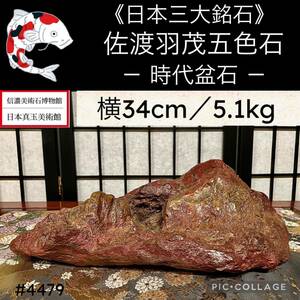 【信濃美術石博物館】水石 盆栽 時代盆石 佐渡羽茂五色石 横34×高11.5(cm)5.1kg 佐渡赤玉石 赤石 佐渡錦紅石 骨董盆石鑑賞石太湖石 4479