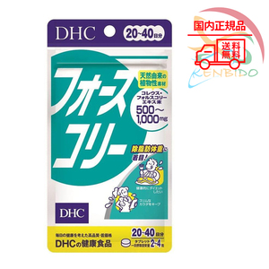 DHC フォースコリー 20～40日分 80粒　ポスト投函