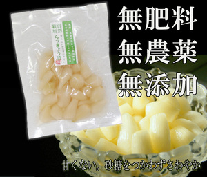 らっきょう漬け(70g)★飛騨高山★無肥料・無農薬★無添加・無化学調味料★砂糖は不使用★発酵熟成★後味すっきりカリカリ感の残る豊かな味