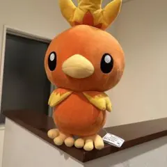 ポケモン アチャモ　ぬいぐるみ