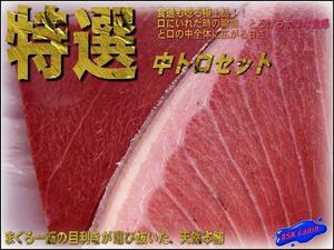 天然物 「中トロ＆天身1kgセット」地中海産 ASK福袋訳業務用