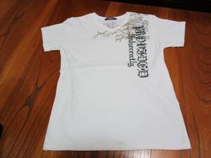 即決！最終値下げ！T-GRAPHICS ティーグラフィックス プリント柄 Vネック襟 Tシャツ Msize表記