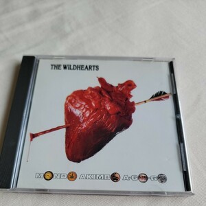 THE WILDHEARTS 「MONDO AKIMBO A-GO-GO」 Ginger Wildheart関連　オリジナル盤