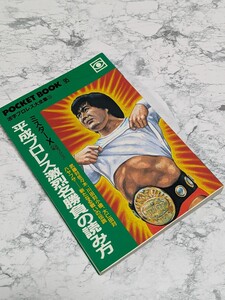 平成プロレス激烈名勝負の読み方 ミスターＸ　活字プロレスの鬼　武藤敬司　佐々木健介　大仁田厚　ハヤブサ