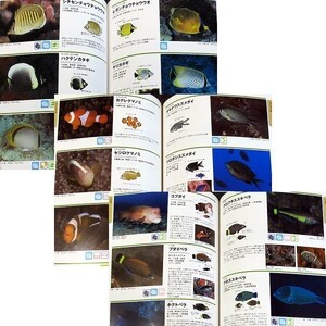 ★良品在庫1即納★海水魚-ひと目で特徴がわかる図解付き｜海の魚 図鑑 日本近海 魚類800種類 生態写真 見分け方 イラスト付 ダイビング#s