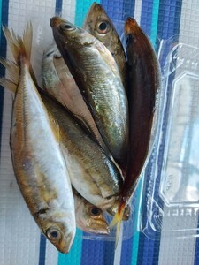 小魚3種(小イワシ5小アジ5小メヒカリ5)合計15匹セット390円即決