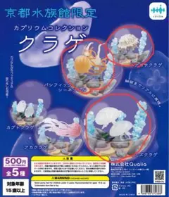 京都水族館限定カプリウムコレクション クラゲ 3種セット