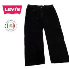 Levis Silver Tab "LOW+LOOSE" Denim Pants