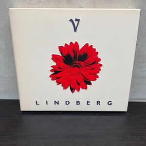 中古CDアルバム　LINDBERG/ LINDBERG Ⅴ