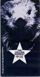 ◆8cmCDS◆THE YELLOW MONKEY/楽園/「新・木曜の怪談」主題歌