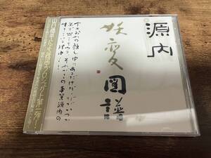 ドラマCD「源内妖変図譜～雷電霹靂の夜～/大沼弘幸・わたなべじゅんいち」関智一●