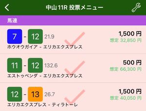 上半期 重賞のみ G1,G2,G3 競馬 レーシングプログラム