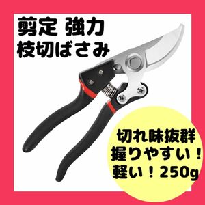 ハサミ ガーデン 庭 園芸 剪定 強力 枝切りばさみ はさみ 花鋏 植物 花